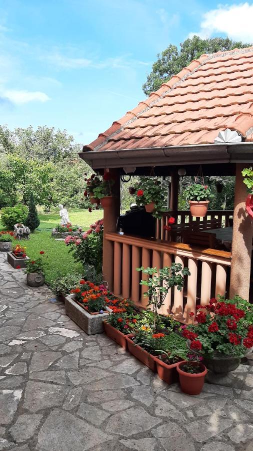 Apartmani "Dukic" Pelinovo Extérieur photo