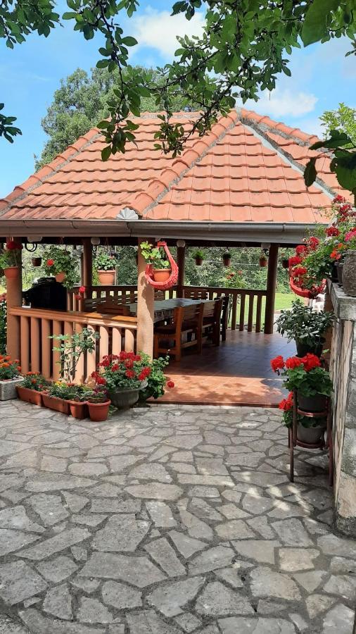 Apartmani "Dukic" Pelinovo Extérieur photo