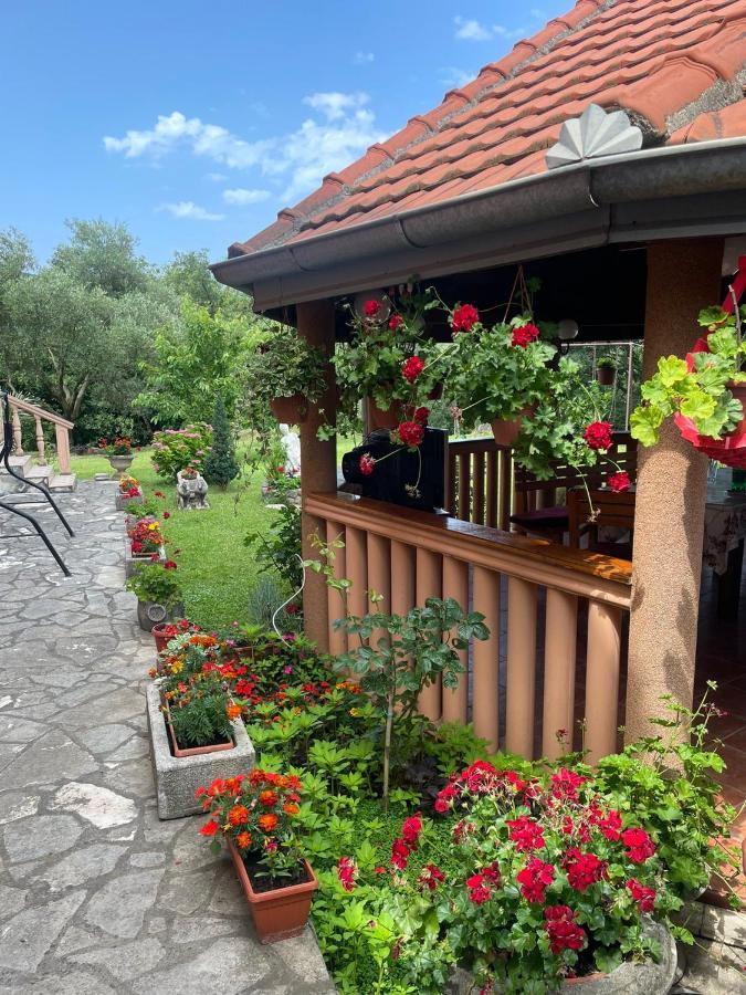 Apartmani "Dukic" Pelinovo Extérieur photo