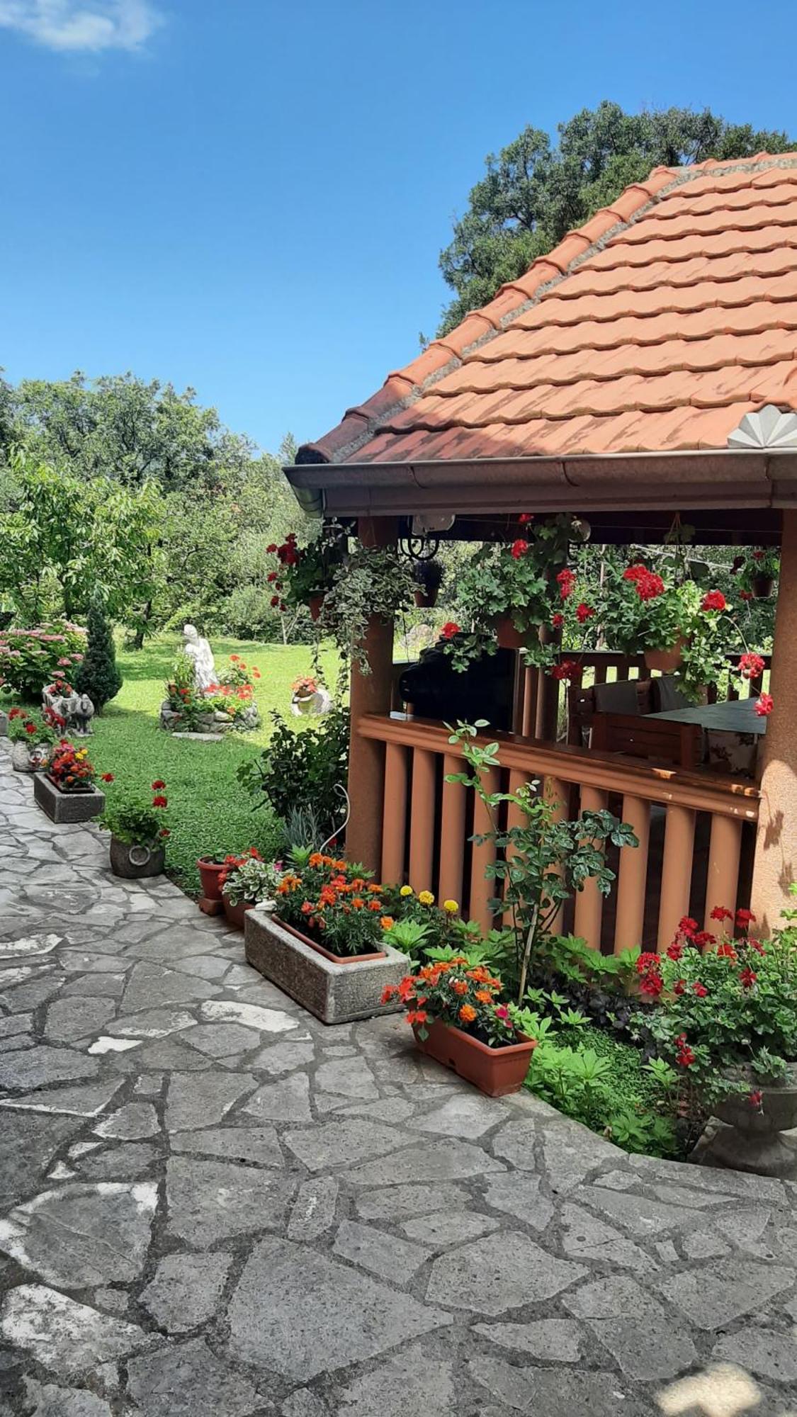 Apartmani "Dukic" Pelinovo Chambre photo