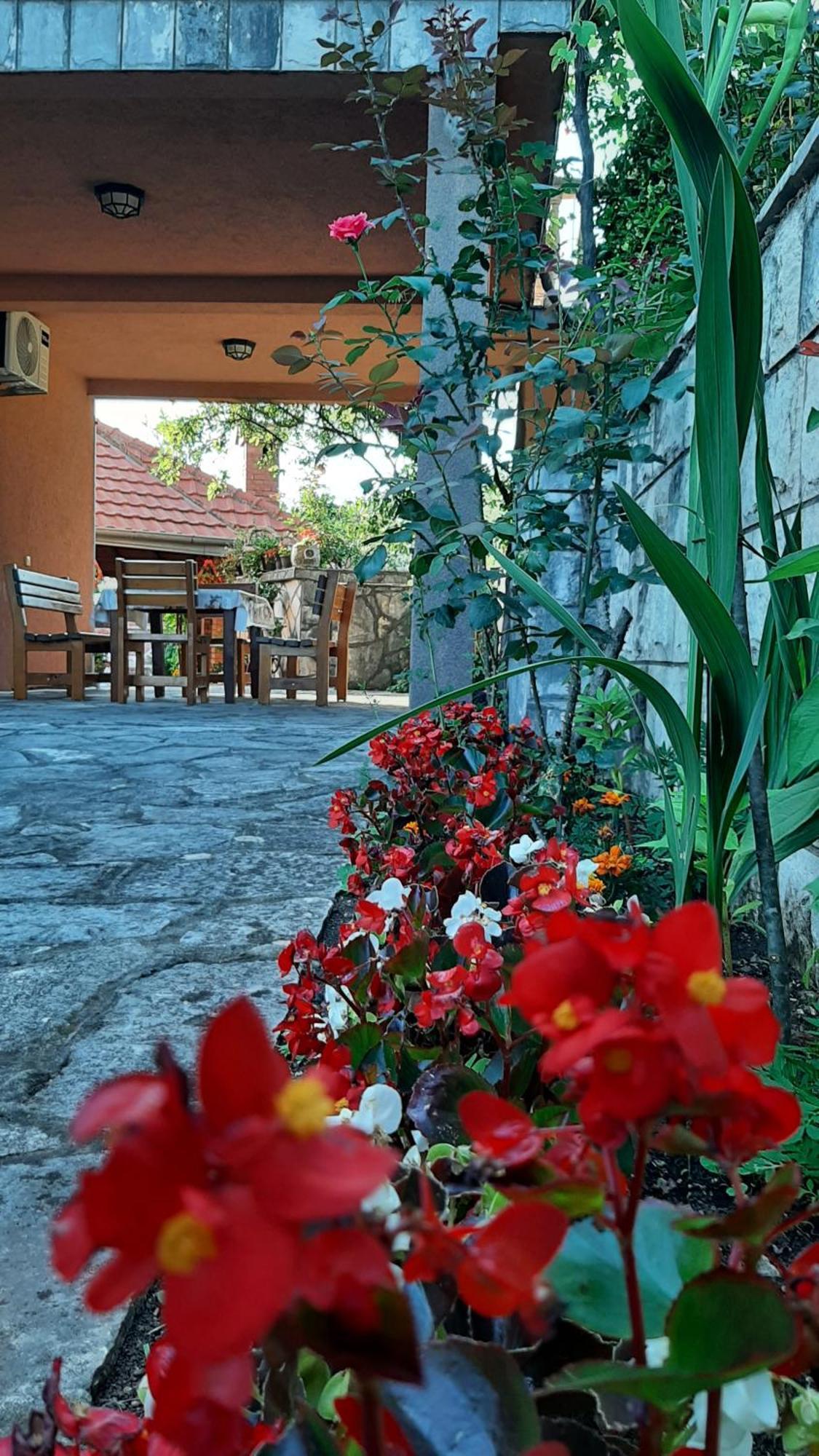 Apartmani "Dukic" Pelinovo Chambre photo