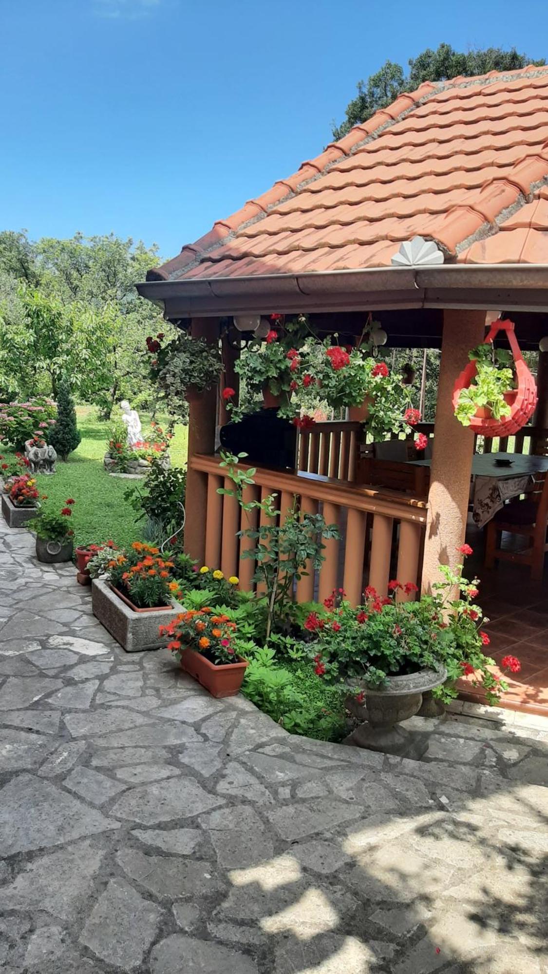 Apartmani "Dukic" Pelinovo Chambre photo