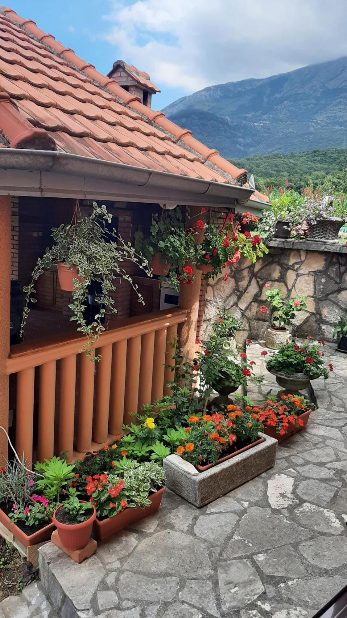 Apartmani "Dukic" Pelinovo Chambre photo