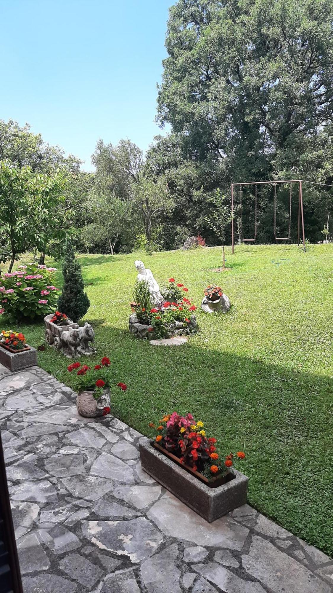 Apartmani "Dukic" Pelinovo Chambre photo