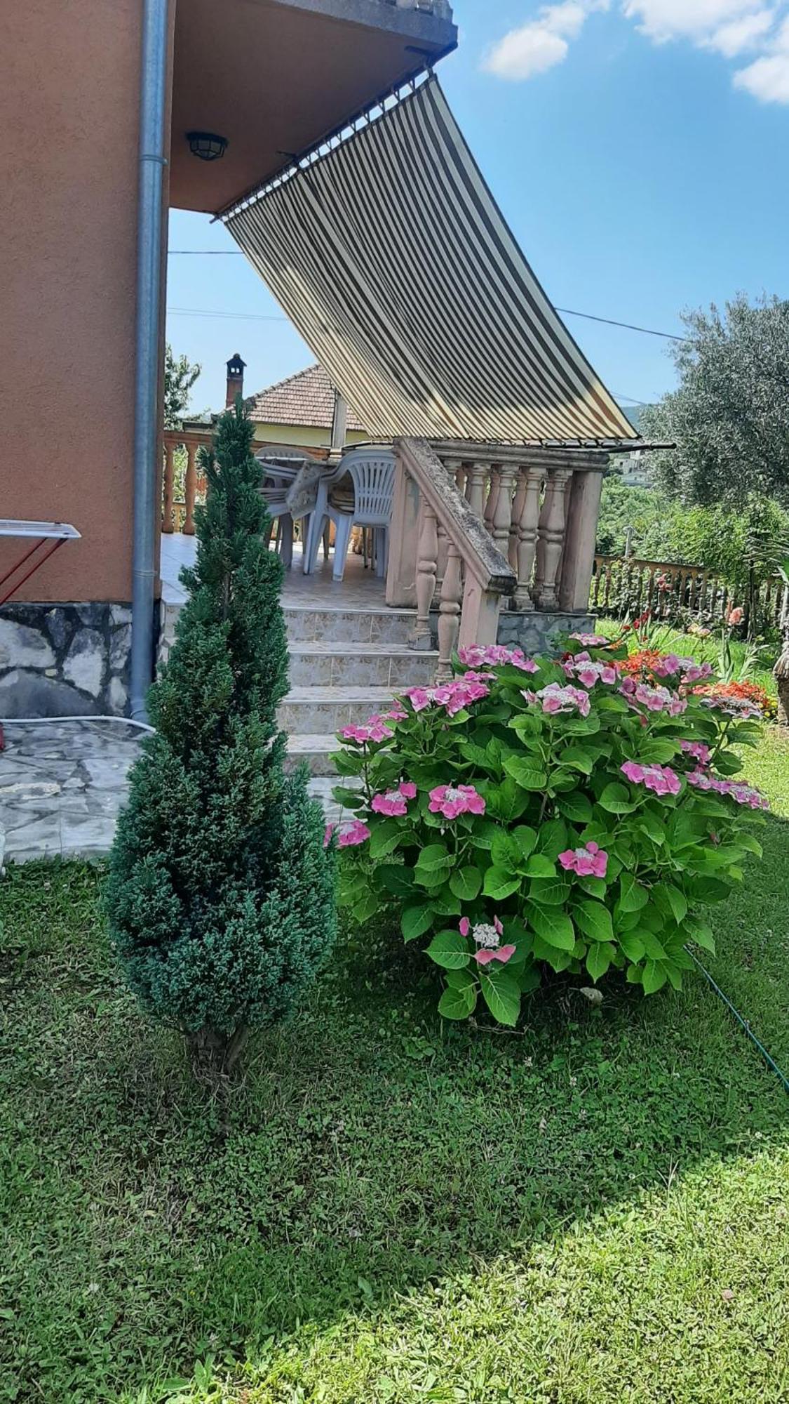Apartmani "Dukic" Pelinovo Chambre photo